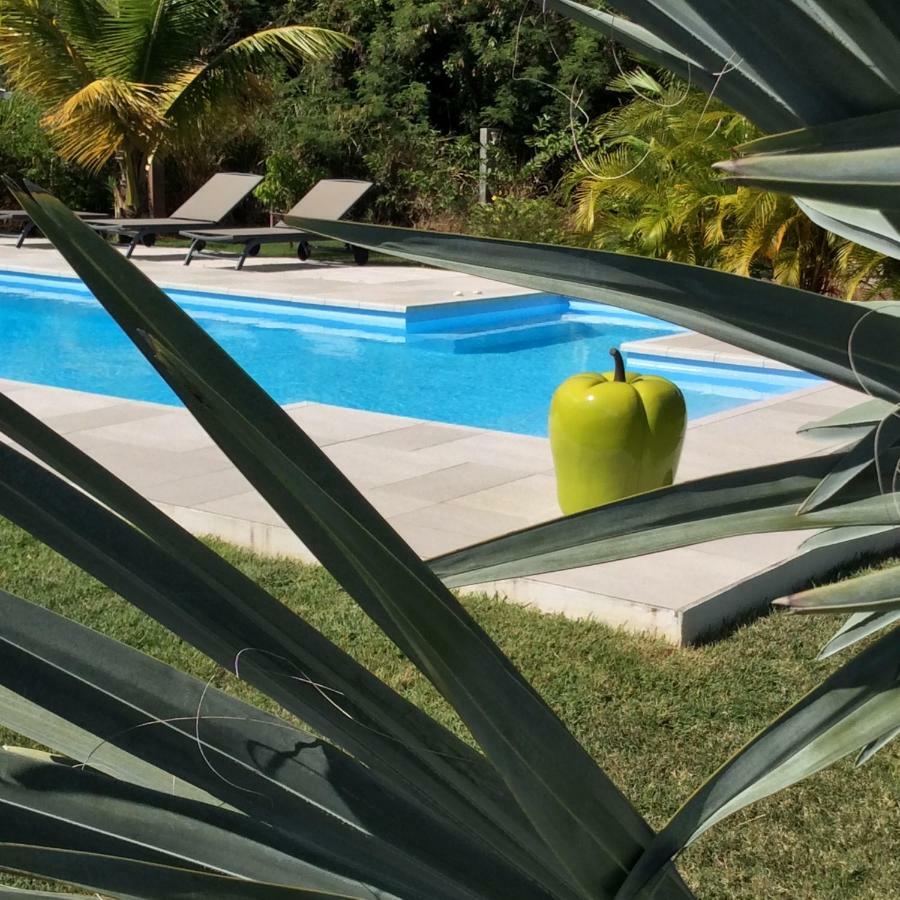 Gite Les Jardins D'Enoha Anse-Bertrand Esterno foto